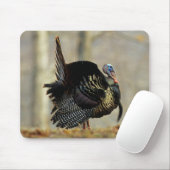Truthahn stolziert, Illinois Mousepad (Mit Mouse)