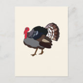 Truthahn Vogel Truthahn Postkarte (Vorderseite)