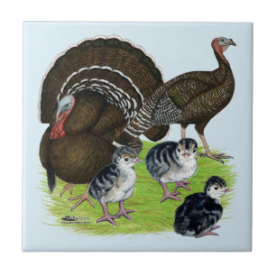 Truthahner Standard Bronze Familie Fliese