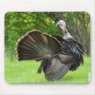 Truthahnfedern Display Mousepad