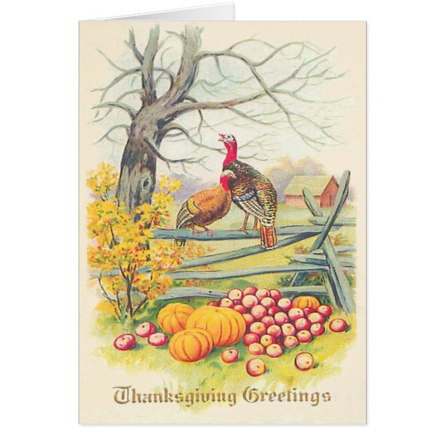 Truthahngut Kürbis Äpfel Baum Herbstlaub (Vorne)