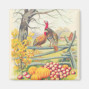 Truthahngut Kürbis Äpfel Baum Herbstlaub Magnet