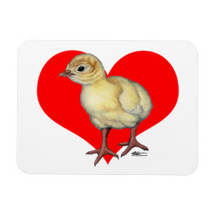 Truthahnjunges Herz Magnet