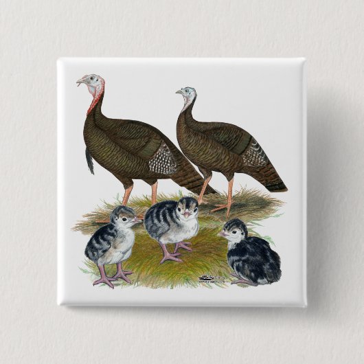 Truthahns östliche wilde Familie Button (Vorderseite)