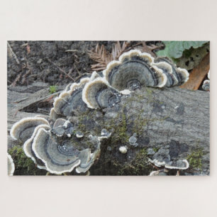 Truthahnschwanz-Mycel-Puzzle Puzzle