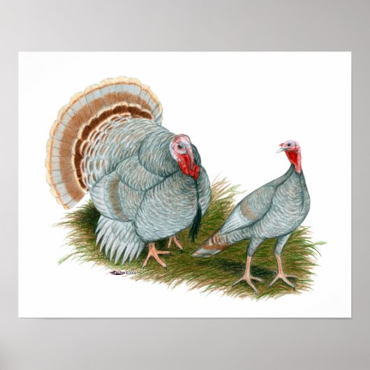 Truthühner: Lilac Poster (Vorne)