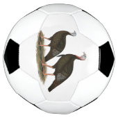 Truthühner Ostpaare Fußball (Gedreht)