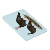 Truthühner Ostpaare Magnet (Rechte Seite)