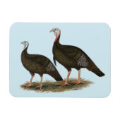 Truthühner Ostpaare Magnet (Horizontal)