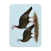 Truthühner Ostpaare Magnet (Vertikal)