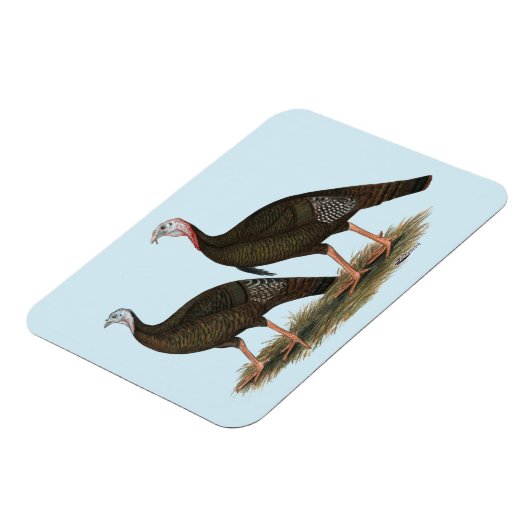 Truthühner Ostpaare Magnet (Linke Seite)