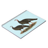 Truthühner Ostpaare Notizblock (Linke Seite)