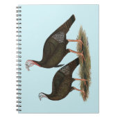 Truthühner Ostpaare Notizblock (Vorderseite)