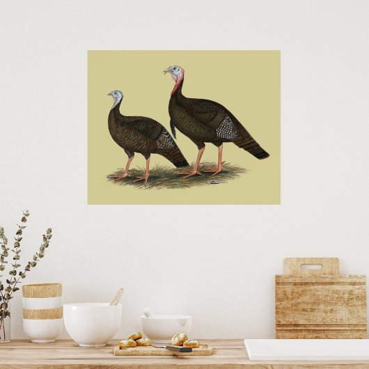 Truthühner Ostpaare Poster (Küche)