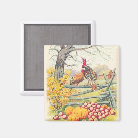 Truthühner-Pumpkinäpfel Baumäpfel Herbstlaube Magnet (Vorderseite/Rückseite)