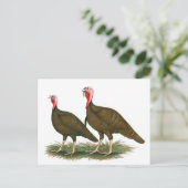 Truthühner: Schokolade Postkarte (Stehend Vorderseite)
