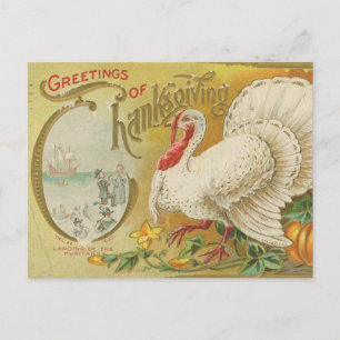 Truthühner Vintager Erntedank Postkarte
