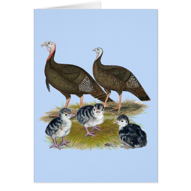 Truthühnerfamilie Eastern Wild (Vorne)