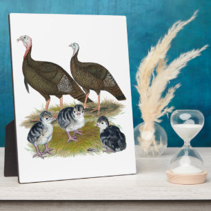 Truthühnerfamilie Eastern Wild Fotoplatte