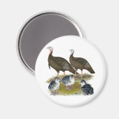 Truthühnerfamilie Eastern Wild Magnet (Vorderseite/Rückseite)