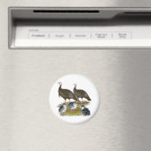 Truthühnerfamilie Eastern Wild Magnet (In Situ (Geschirrspüler))