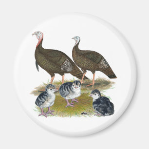 Truthühnerfamilie Eastern Wild Magnet