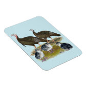 Truthühnerfamilie Eastern Wild Magnet (Rechte Seite)