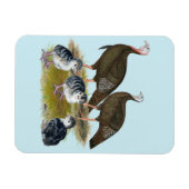 Truthühnerfamilie Eastern Wild Magnet (Horizontal)