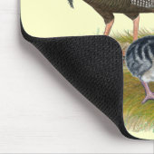 Truthühnerfamilie Eastern Wild Mousepad (Ecke)