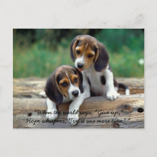 Try it one more time... postkarte