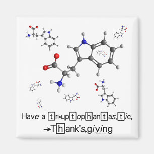 Tryptophan-Molekül Magnet