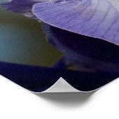 TS Eliot Zitat Wassertropfen auf Iris Poster (Ecke)