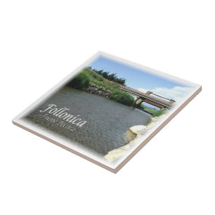 TSC014 FOLLONICA, Schaf Fluss, Toskana, Fliese