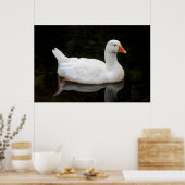 Tschechische Gans. Roath Park Lake, Cardiff, Wales Poster (Küche)