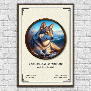 Tschechoslowakischer Wolfhund Zoologie-Serie Poster