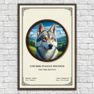Tschechoslowakischer Wolfhund Zoologie-Serie Poster