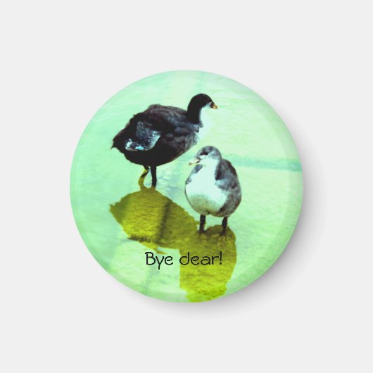 Tschüss lieber! magnet (Vorne)