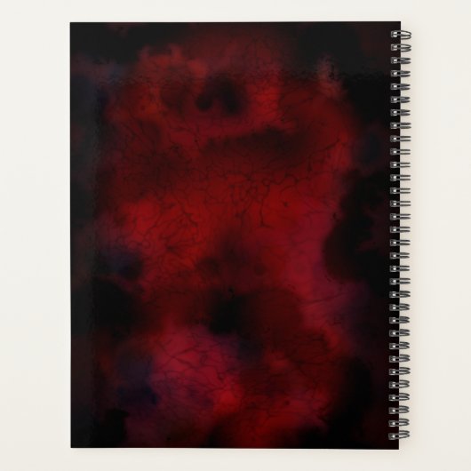 TSDS: Chaos Magic Planer (Rückseite)