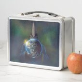 TSDS King of Earth Metall Brotdose (Beispiel)