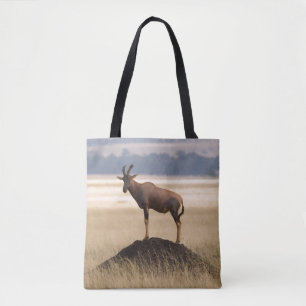 Tsessebe Antilope auf Ausblick für Fleischfresser Tasche