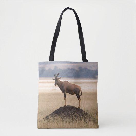 Tsessebe Antilope auf Ausblick für Fleischfresser Tasche (Vorderseite)