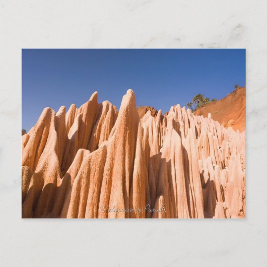 Tsingy rouges de Madagascar Postkarte (Vorderseite)