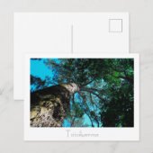 Tsitsikamma Nationalpark Südafrika Postkarte (Vorne/Hinten)