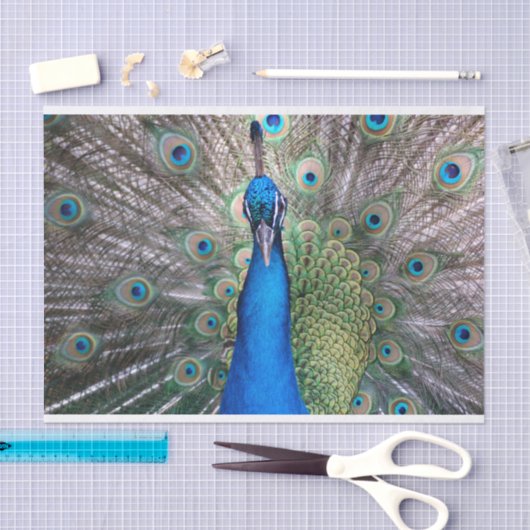 TSP - 098 - Pfau - Gewebepapier Seidenpapier (Handwerk)