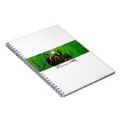 TST/GUMBAE WEIN NOTIZBLOCK (Rechte Seite)