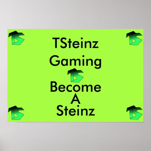 TSteinz Poster (Vorne)
