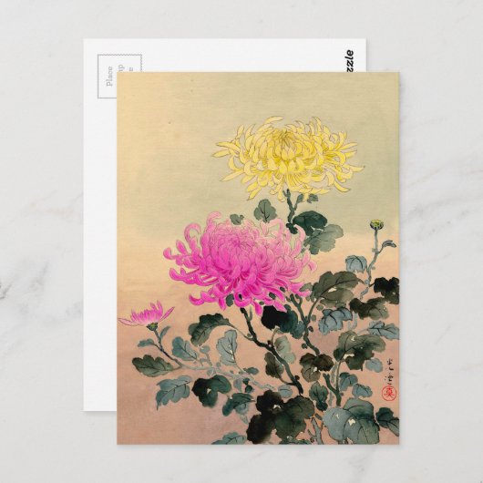 Tsuchiya Koitsu 土 屋 逸 - Chrysanthemum 菊 Postkarte (Vorne/Hinten)