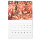 tsukiji Fotografie 2014 Kalender (Mär 2027)