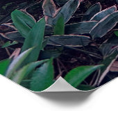 TSUKUBAI BASIN AUF KOTO-IN-TEMPLE POSTER (Ecke)