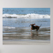 Tsunami Harry Poster (Vorne)